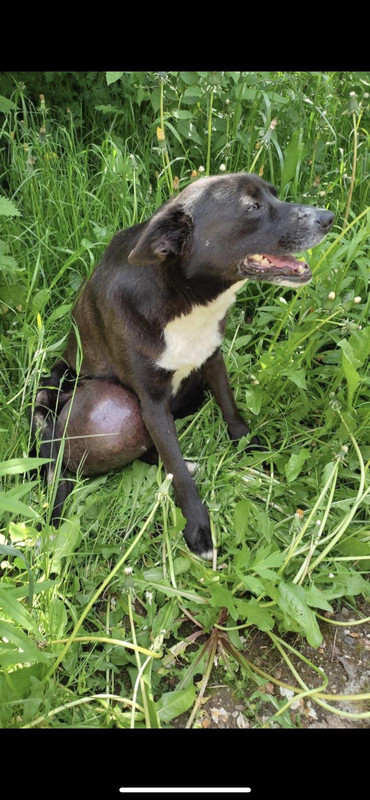 99ABA4F8-2D05-45F9-8C7A-3E2AC712C002