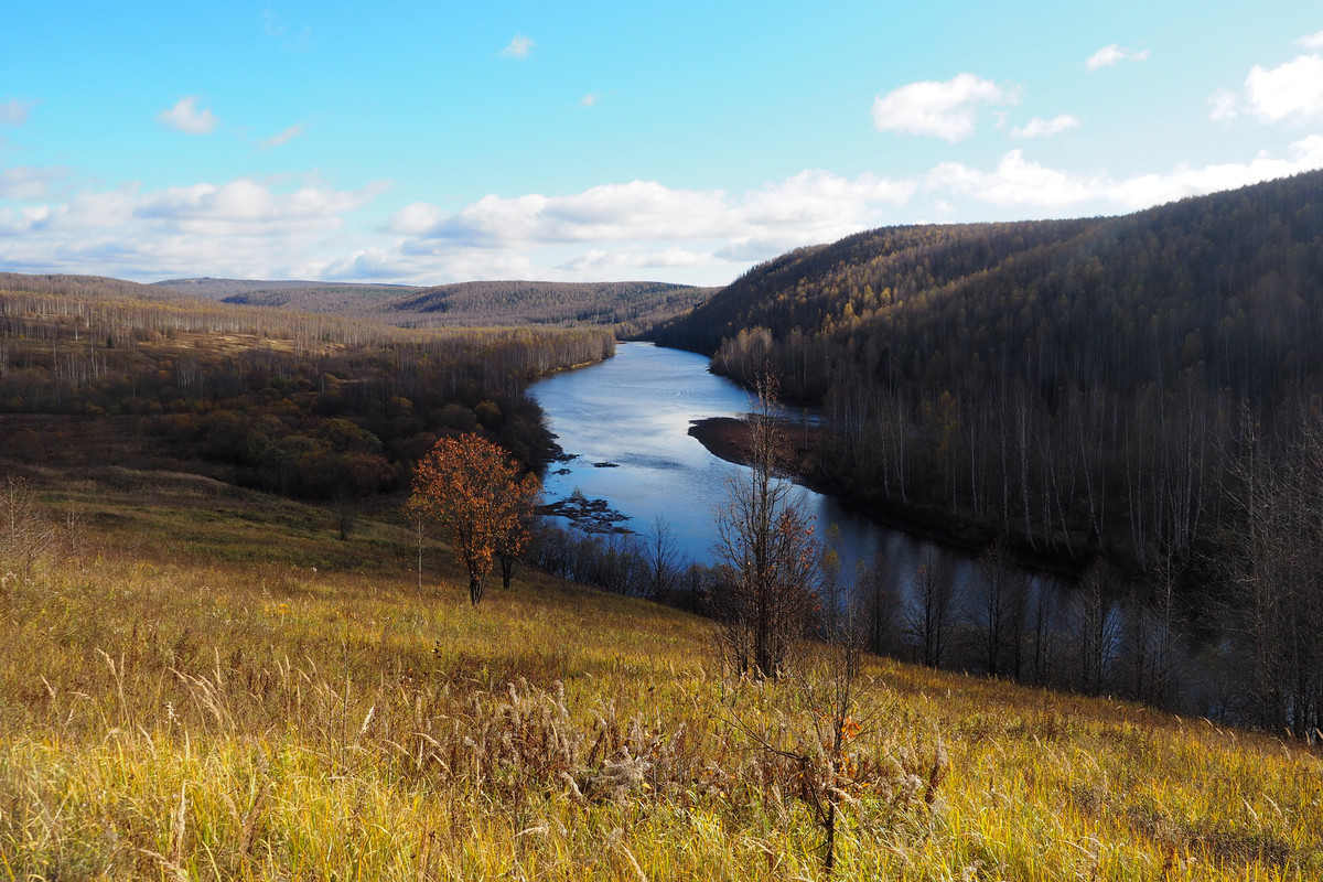 PA061959.jpg