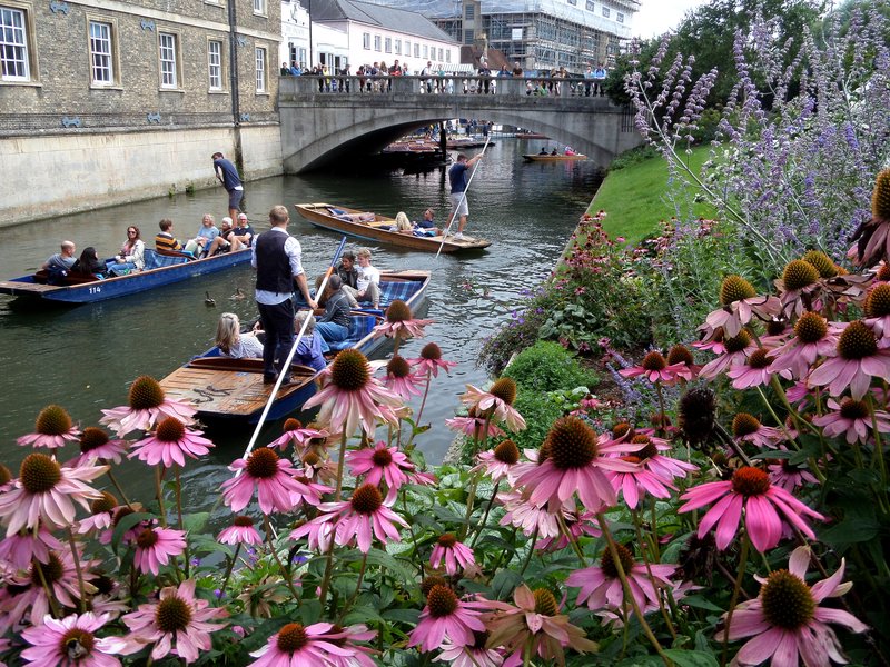 Oxford: Qué ver, transportes, alojamiento - Inglaterra - Forum London, United Kingdom and Ireland