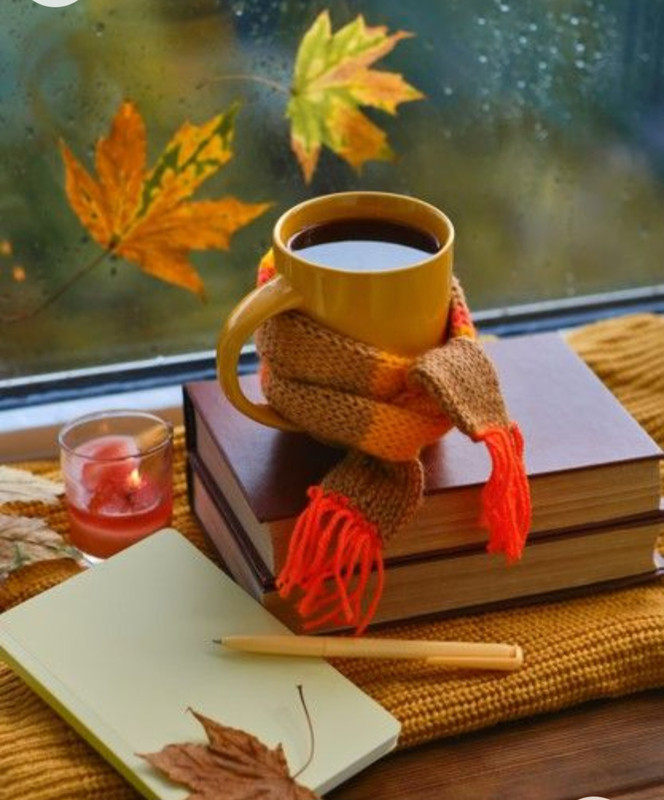 Screenshot_20221227_010615_Chrome