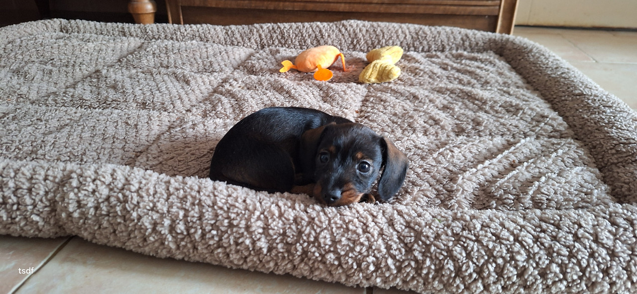 [Image: 20250610-190541.jpg]