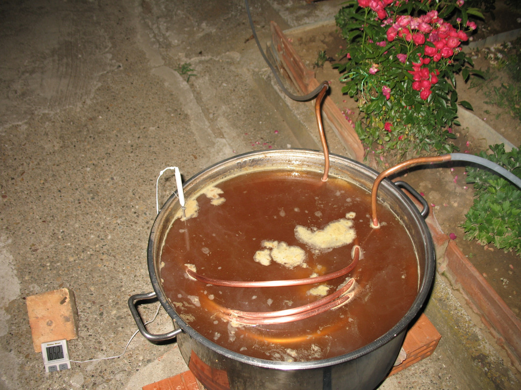IMG 8765 — Postimages