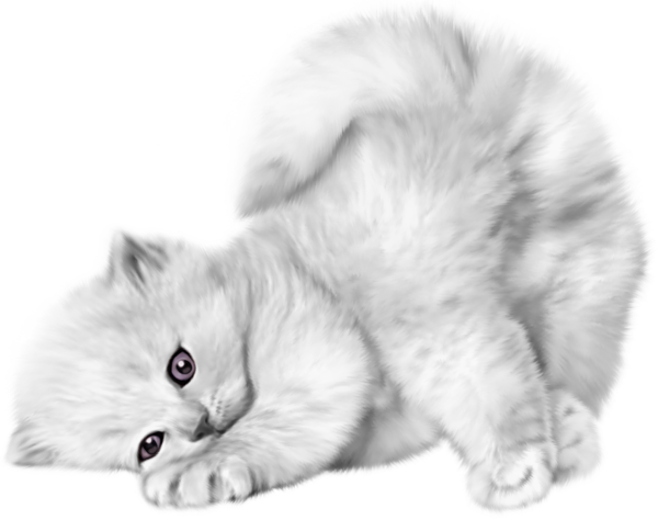 TADD_elements_PrincessParisian (48)