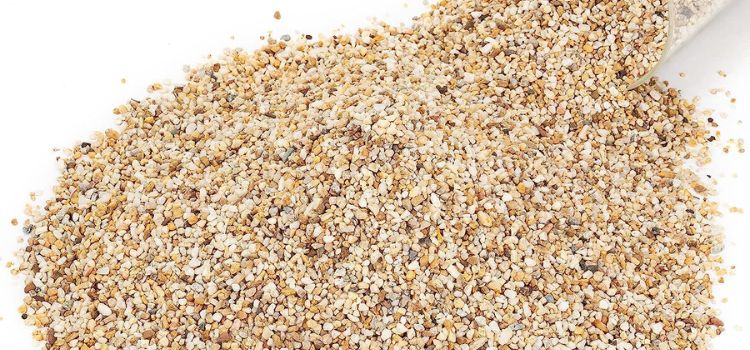 The 10 Best Freshwater Sand Sifters for a Pristine Aquarium 3 Freshwater Sand Sifters 3