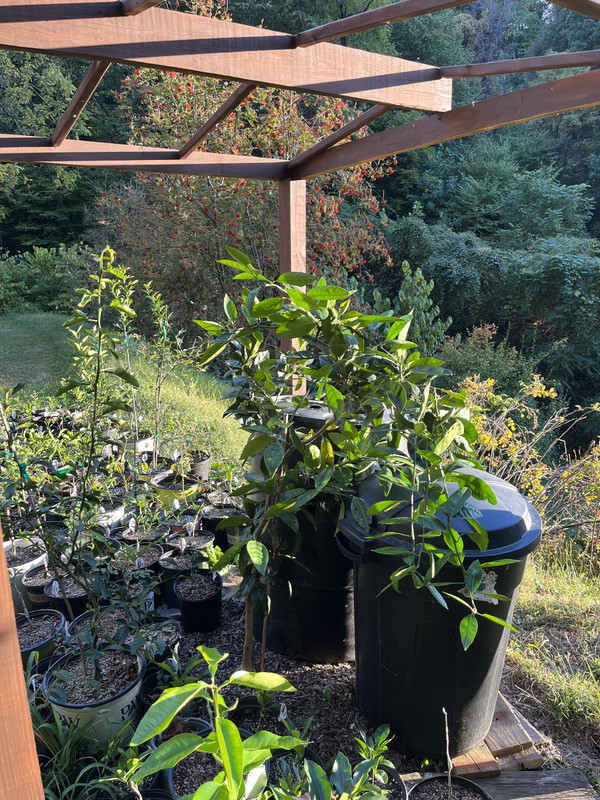 064EA2D3-41C1-4841-80E9-B1F859D68886