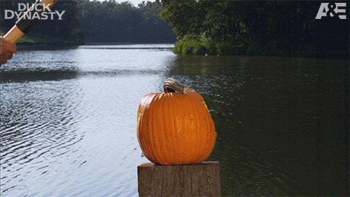 smashing-pumpkin.gif