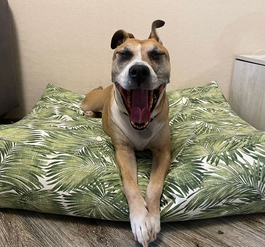 36C91A16-3D5B-4713-ADA5-DEB073C88673