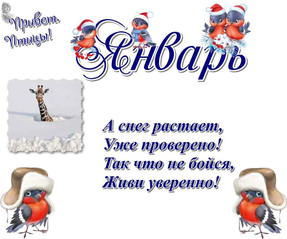https://i.postimg.cc/SNvvMvH0/09-01.png
