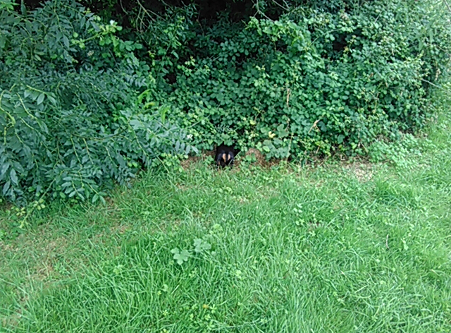 [Image: PANO-20210726-133436.jpg]