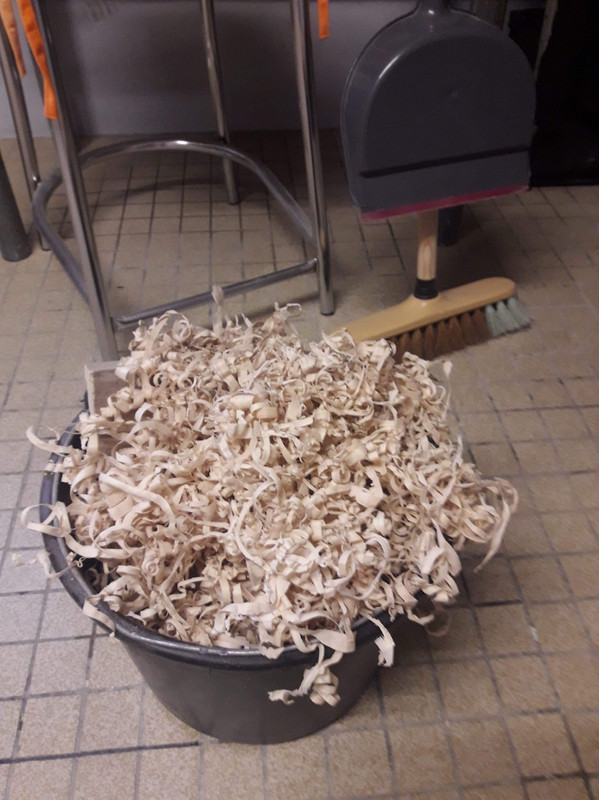 08A91940-0E41-442D-A59C-F3473A407B20