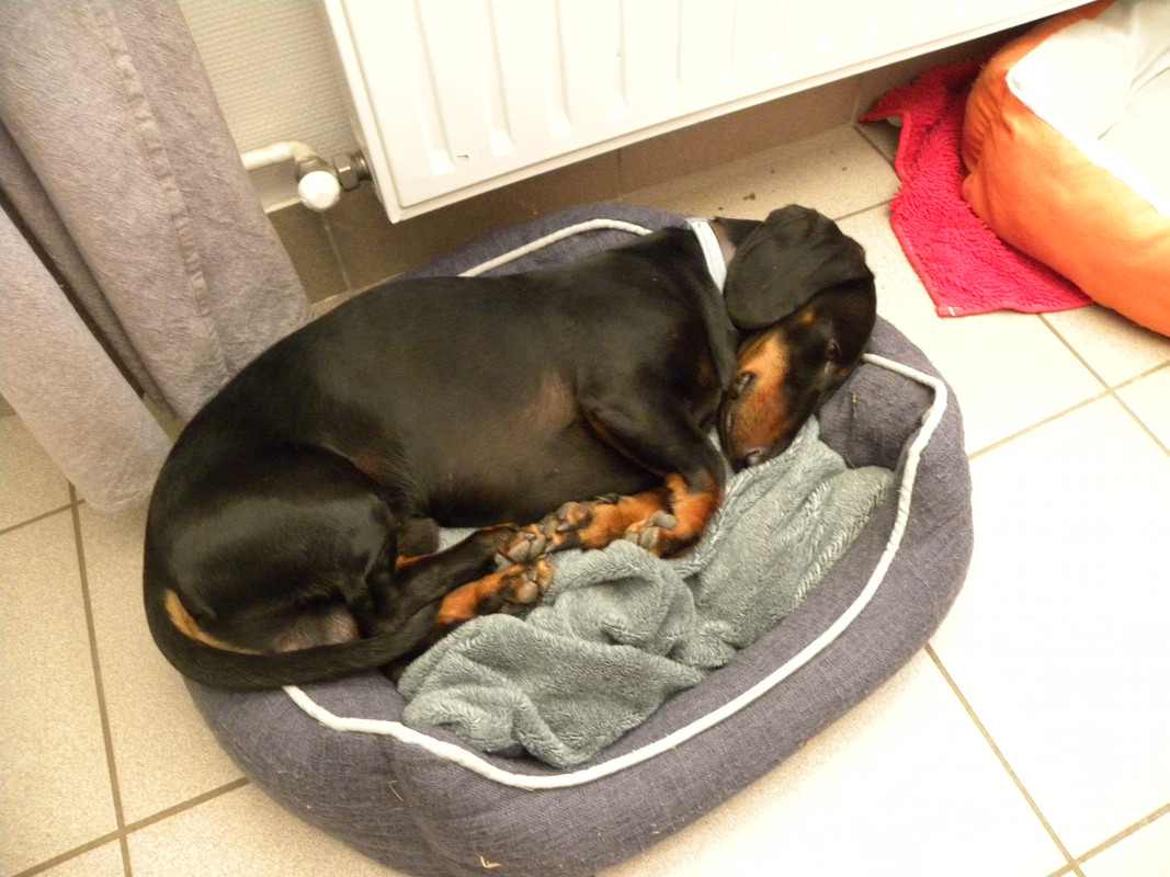 [Image: DSCN9492.jpg]