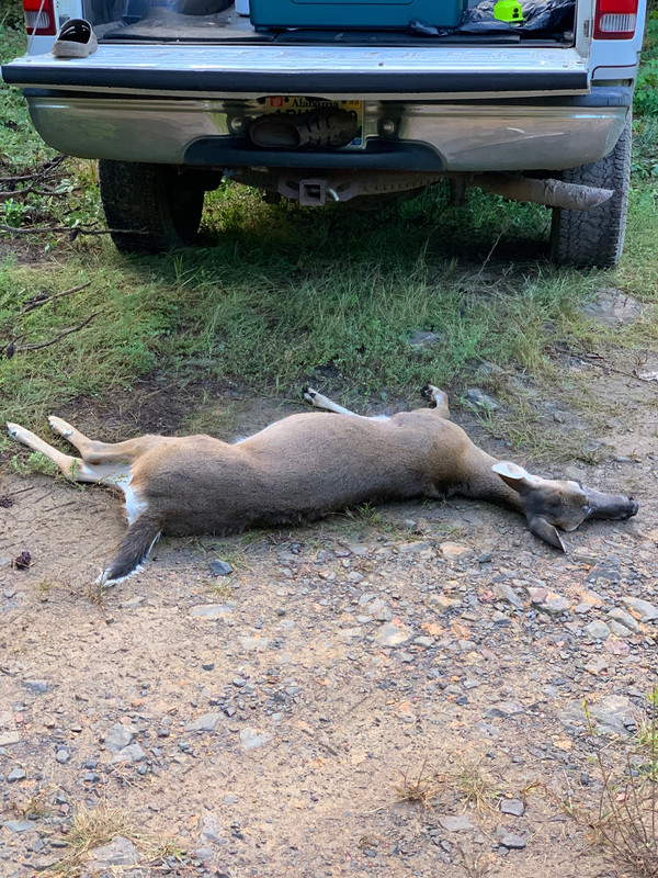 6FDD9432-A151-4C16-8232-6555FED09C51