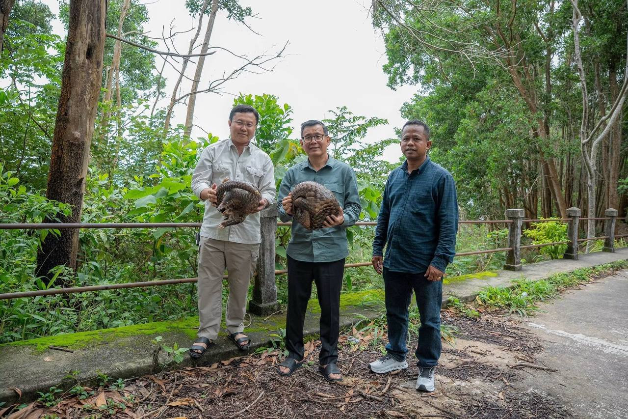 kampot deputy governor releases two pangolins bokor cambodia news 2026 567667