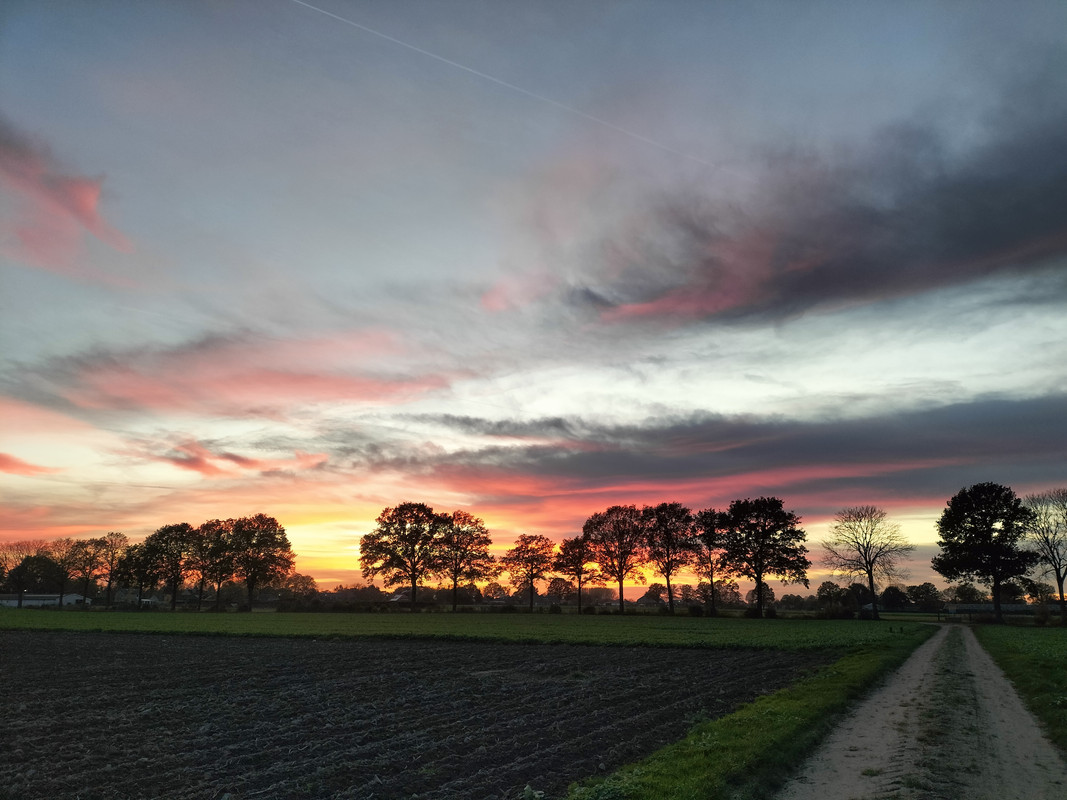 Img20221110171054 Postimages