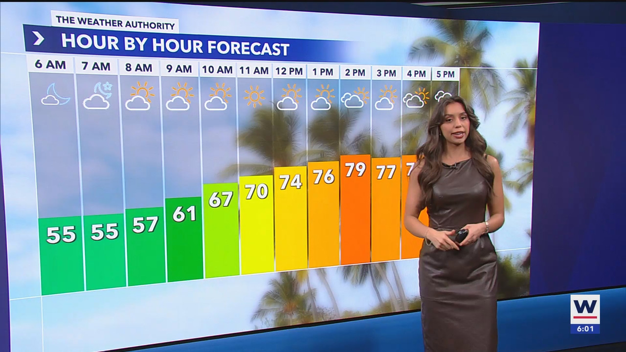 WINK News at 600am_20241223_11001130.ts_snapshot_02.11.311