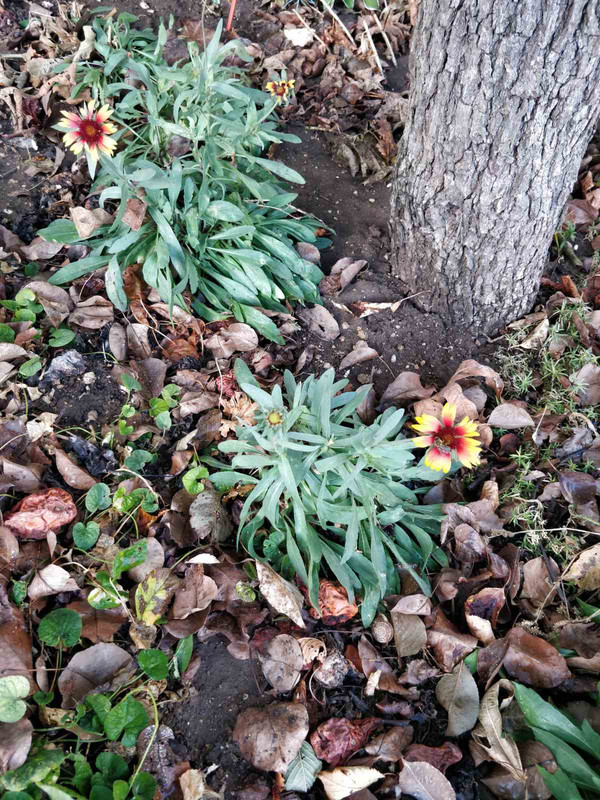 изображение_viber_2023-10-30_11-03-37-753