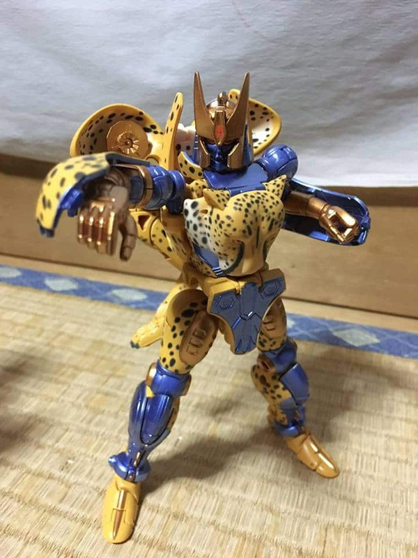 16807084_413135462370220_6332616538350888400_n