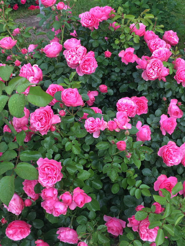 0C02A98F-02AC-4AE7-AD4A-17C503E1C92F