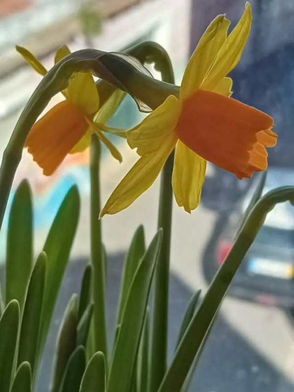 624907483-18560382454022127-5429799011292702759-n