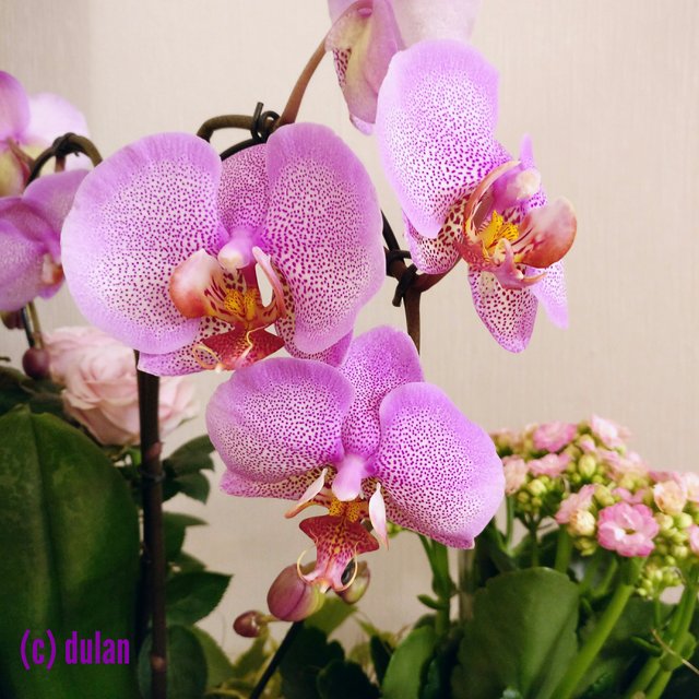 [Image: IMG-20230427-012145.jpg]