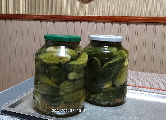 https://i.postimg.cc/SNxnbShs/uborka-telre-1-20240627.jpg