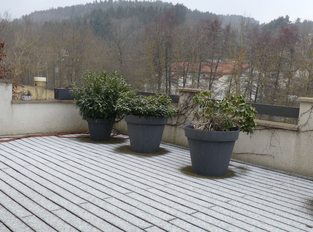 P1100290.jpg