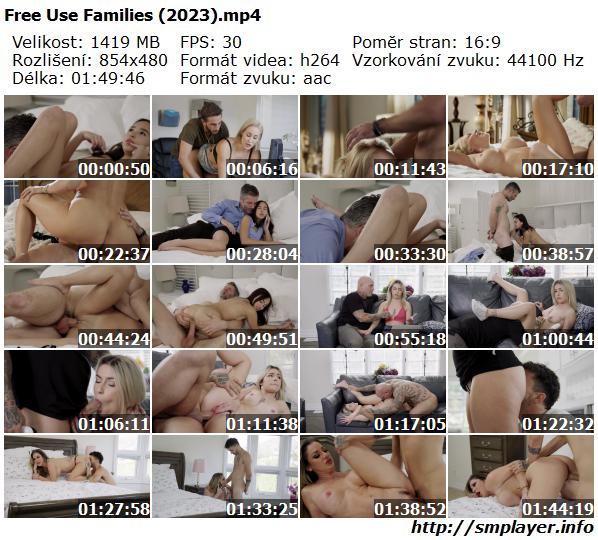 Free Use Families (2023)