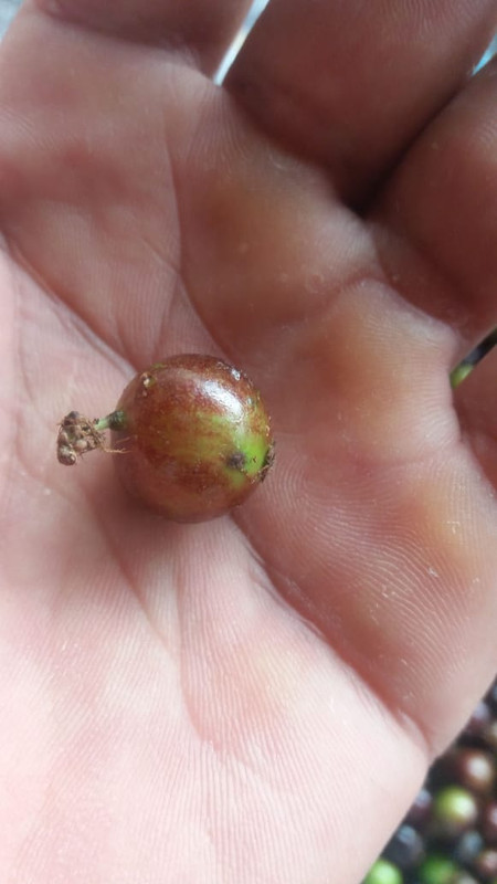 WhatsApp Image 2020-11-29 at 18.27.32 (5)