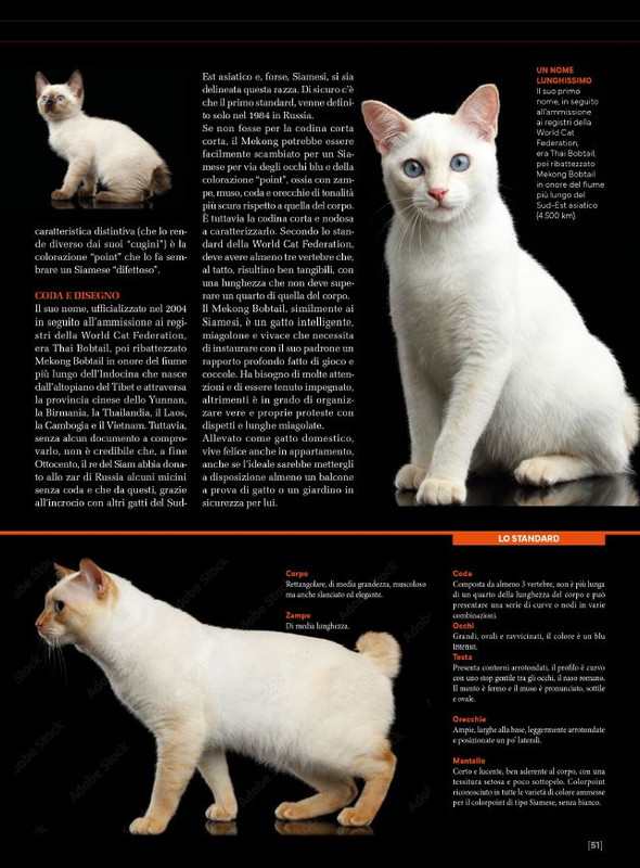 Ga Ma Ago-Set 2024 (10)