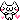 giddy cat