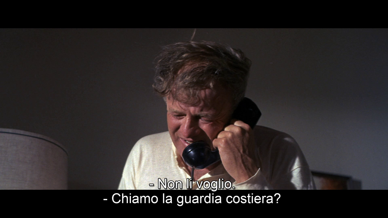 vlcsnap-2022-06-03-18h09m12s656