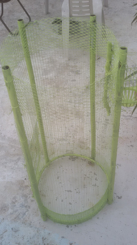 ٢?١٩?١٢٧_١٦١?٥٦