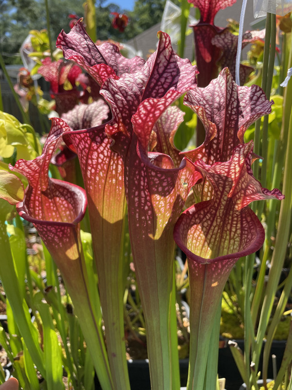 44097858-3738-4157-9D94-EFE0A8902C62