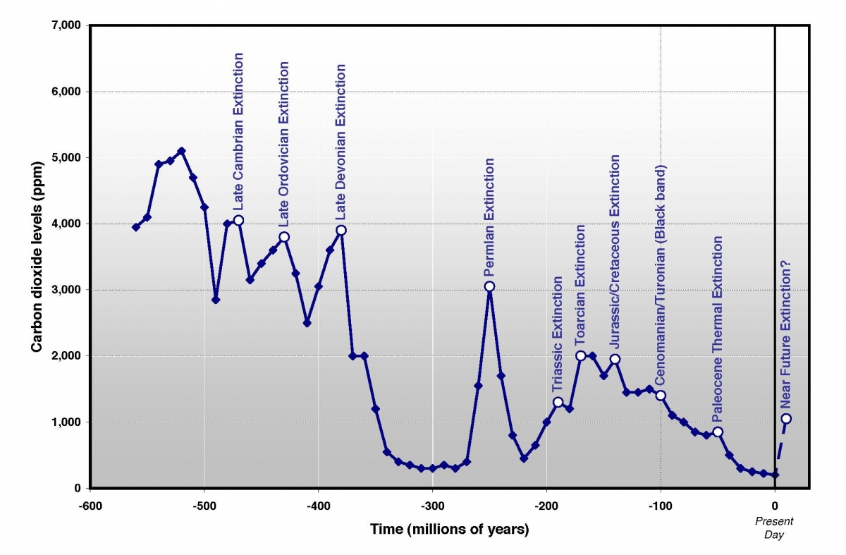 CO2-550my-Extinction-Chart-from-Ward.jpg