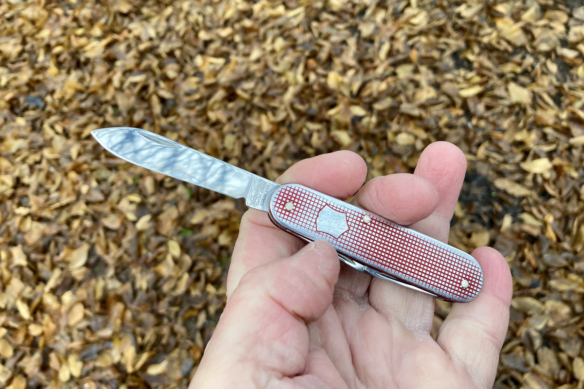 B7E134A4-93B1-4DE3-9F15-A2667E24532A