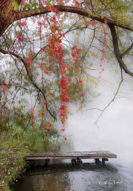 426192268-122151914990069326-6035818369269164715-n