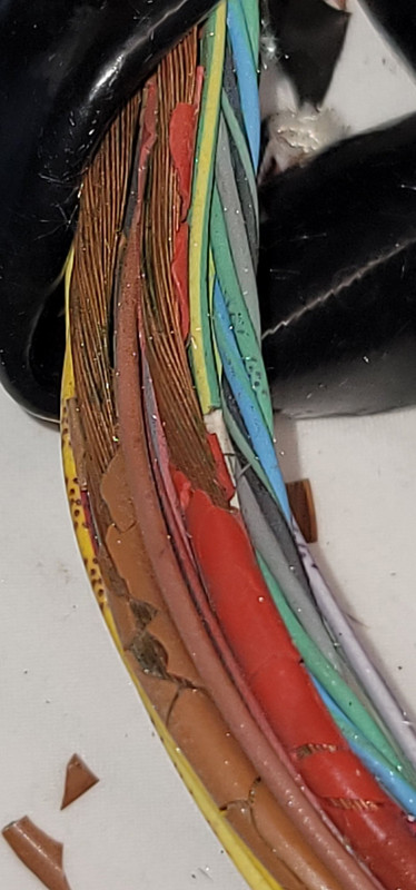 27 biodegradable wire coverings