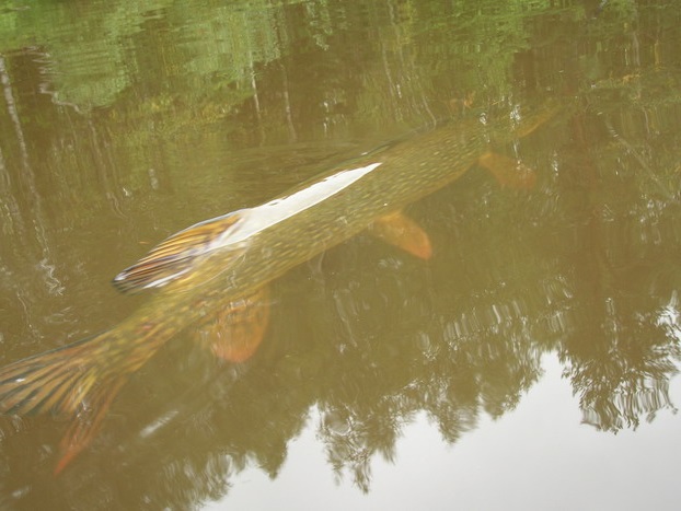 Изображение 001