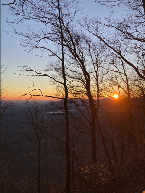 [Image: Sunset-Cea-Head2023-0126-3.png]