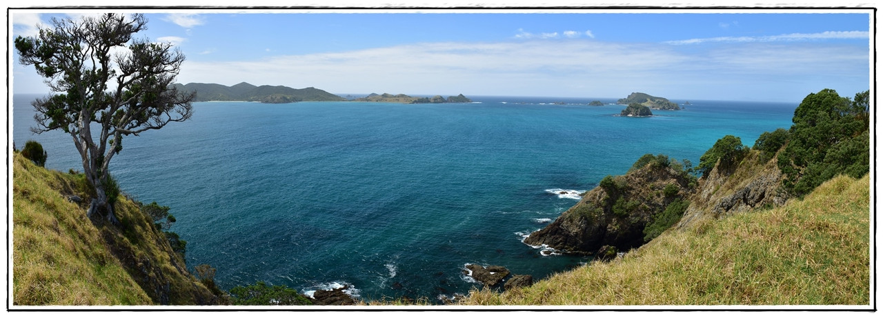 Diez días de roadtrip por Northland en caravana (febrero 2021) [II] - Escapadas y rutas por la Nueva Zelanda menos conocida (8)