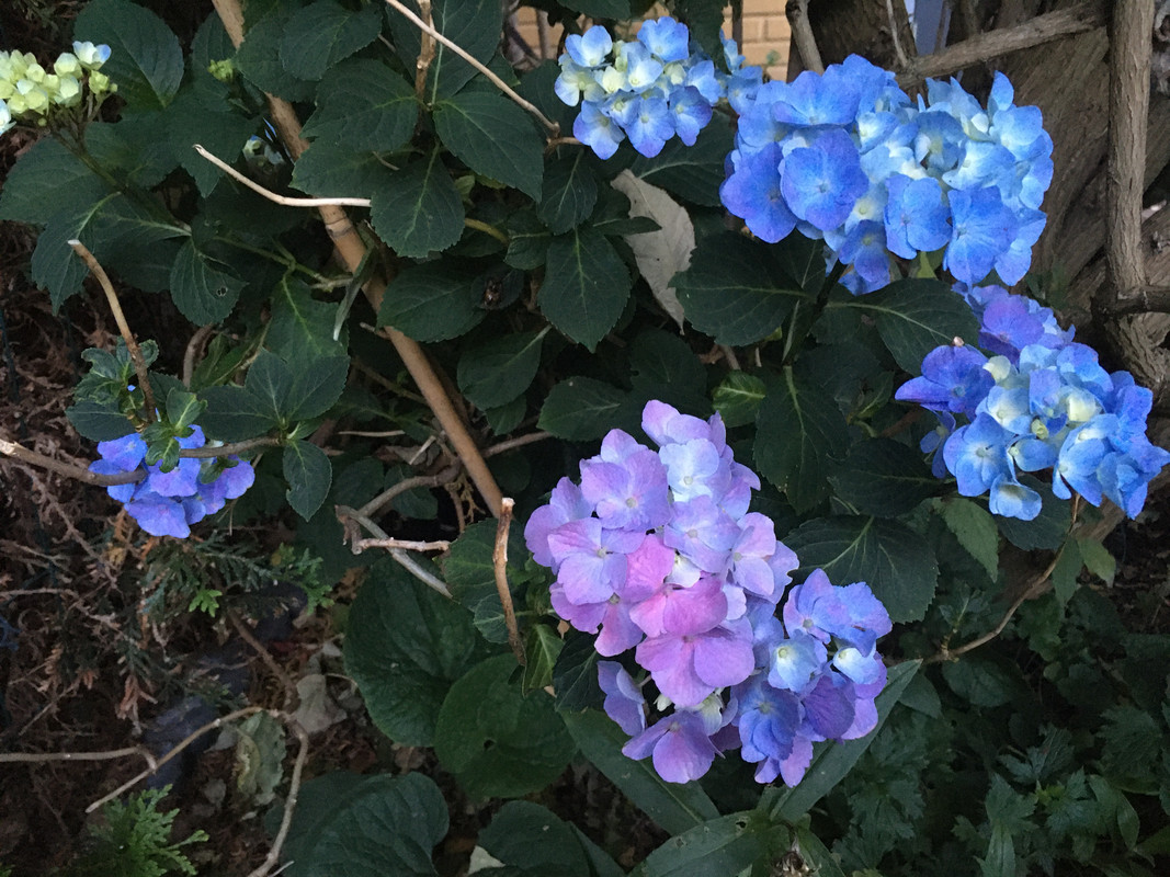 D21BDB4A-AE4A-49A3-A0CD-3A4566042596