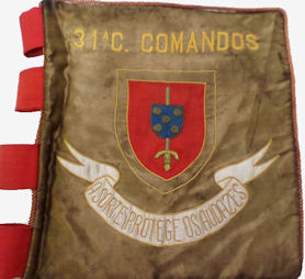 31CCmds