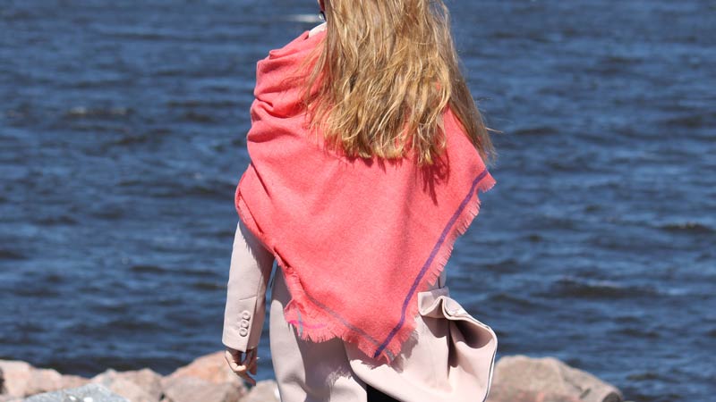 ������ ������� ��������� ������ �� ������ ��������