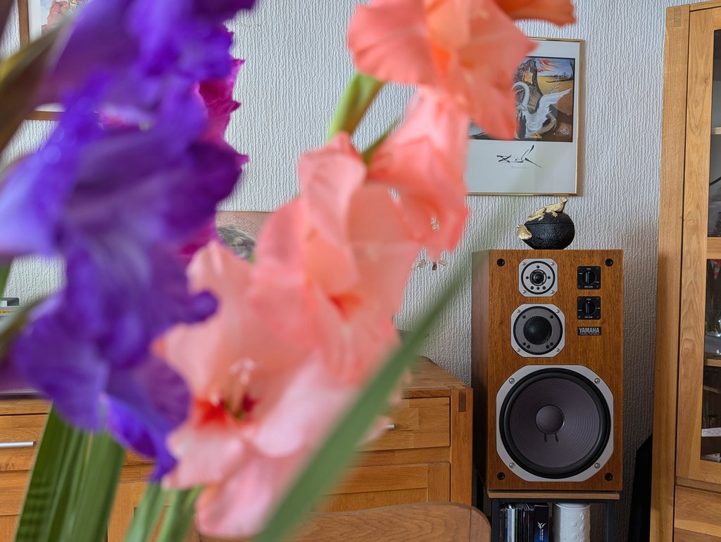 [Bild: PXL-20250716-092345496-2.jpg]