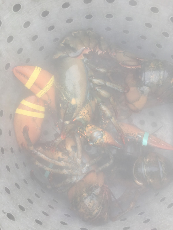 7914F7FA-7D9F-440E-9246-062192DE805E