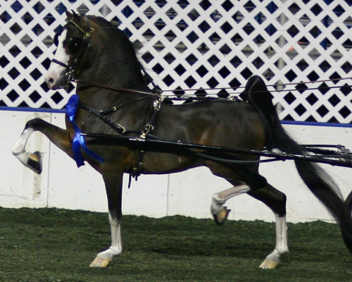 merrywoodmaybemorechrome