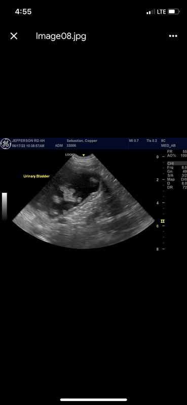 DC24B2C5-BEA1-4753-9A7D-5B9CA862F6CF