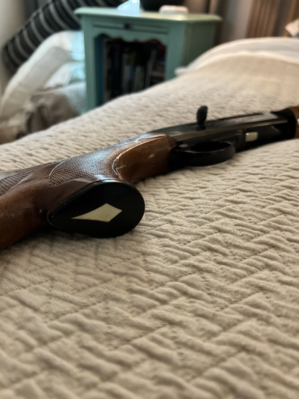 70855876409__D5A0268F-6B05-4B2D-9D44-73C24DF31E1B