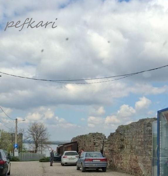 Slika