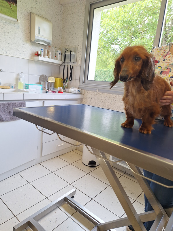 [Image: 20240524-161939.jpg]